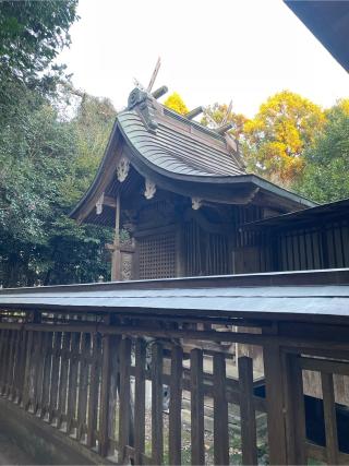 太田神社の参拝記録(ねこチャリさん)