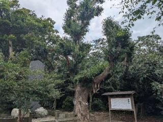 鎌数伊勢大神宮の参拝記録(おがおが1262さん)