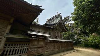 雷神社の参拝記録(金猿さん)