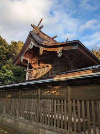 玉﨑神社の参拝記録(はしどいさん)