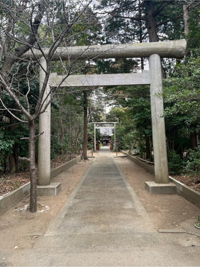 千葉県山武郡横芝光町宮川2118番地 熊野神社の写真2