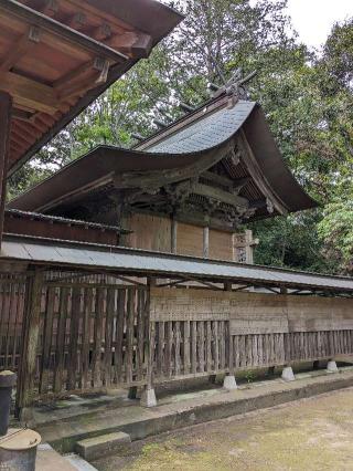 熊野神社の参拝記録(はしどいさん)