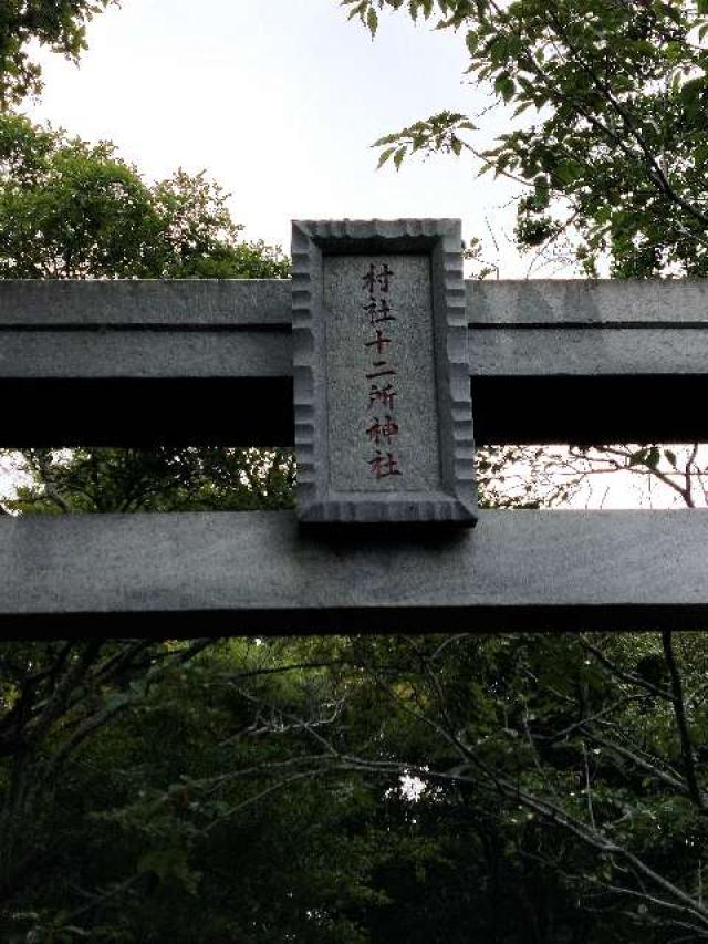 千葉県匝瑳市川辺2877-1 十二所神社の写真3