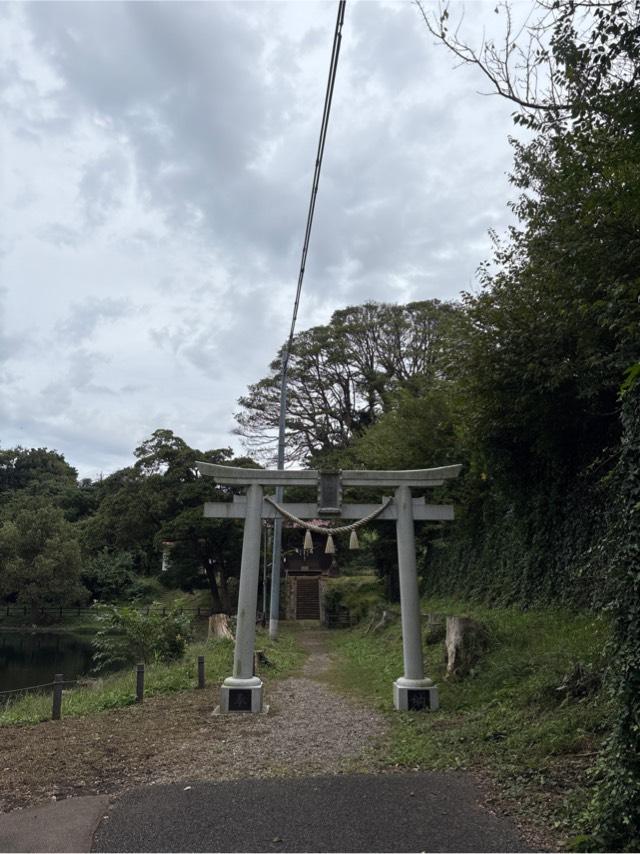 嚴嶋神社の参拝記録1
