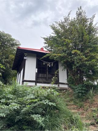 嚴嶋神社の参拝記録(ねこチャリさん)