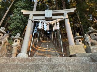 春日神社の参拝記録(きょんちーさん)