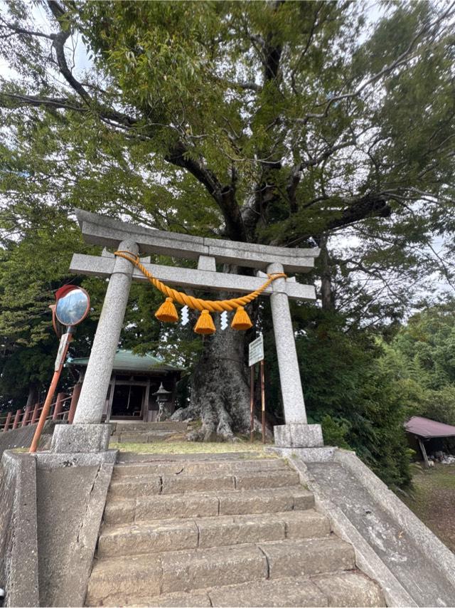 八坂神社の写真1