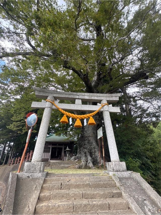 八坂神社の参拝記録1