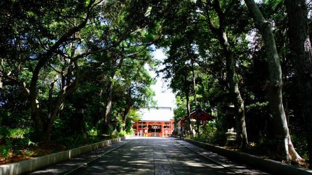 鶴峯八幡神社の参拝記録7