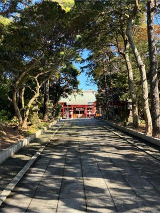 鶴峯八幡神社の参拝記録(こーちんさん)