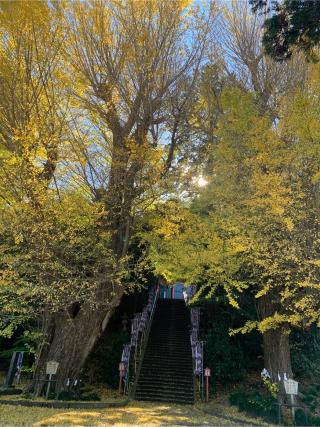 浅間神社の参拝記録(サー子さん)