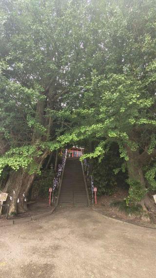 浅間神社の参拝記録(あにぃさん)
