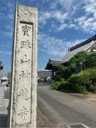 神竜寺の参拝記録(もりもりさん)