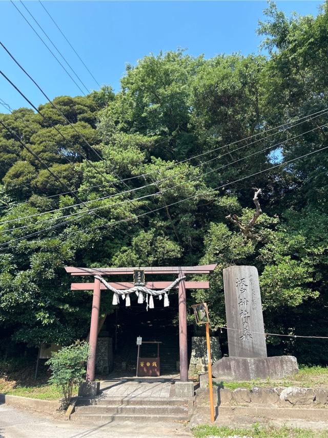 坂戸神社の参拝記録5
