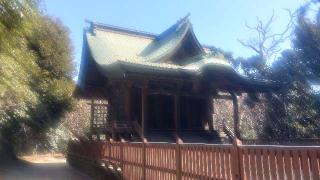 坂戸神社の参拝記録(ステイさん)