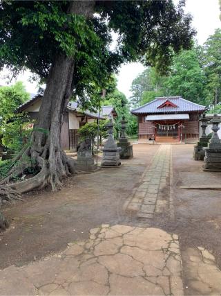 率土神社の参拝記録(林のタケノコさん)