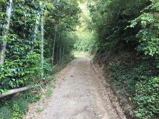 稲荷神社の参拝記録(明介さん)