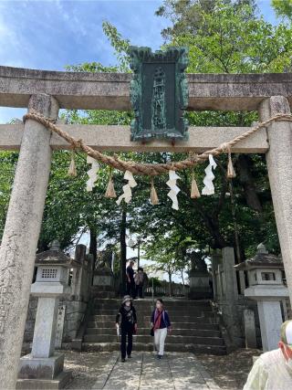 玉前神社の参拝記録(ふみこさん)