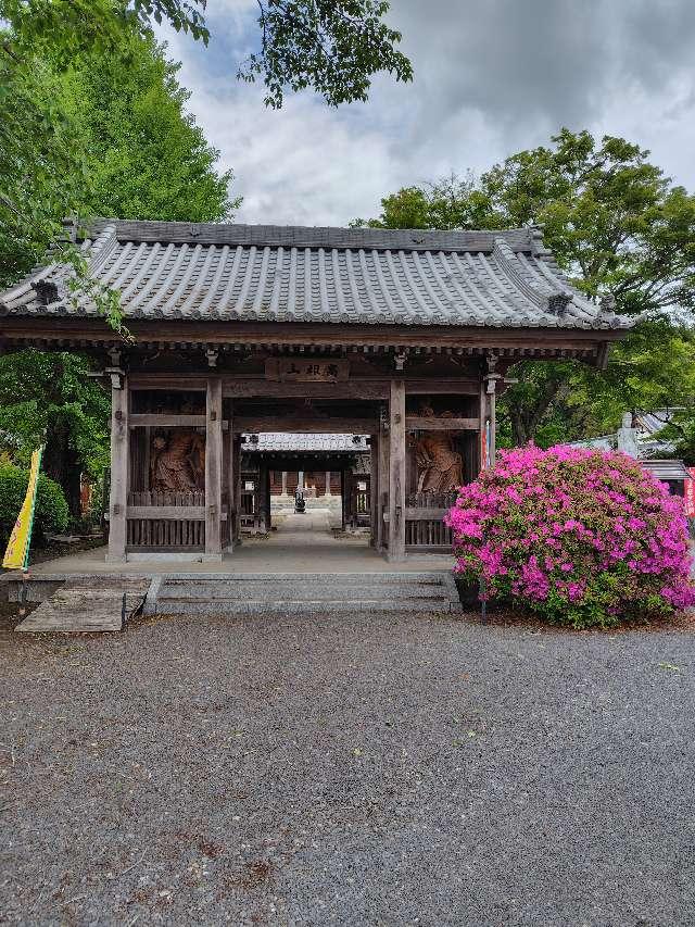 高根山閑心院大山寺の参拝記録3