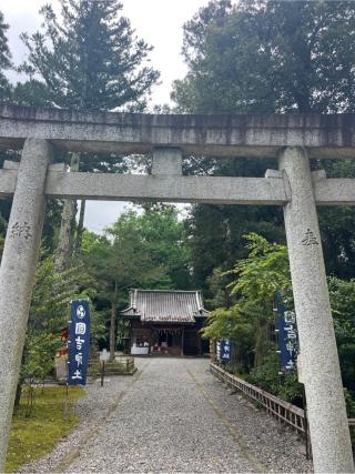 國吉神社の参拝記録(⛩️🐍🐢まめ🐢🐍⛩️さん)