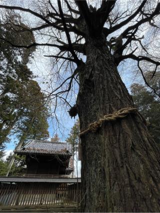 國吉神社の参拝記録(ギャズさん)