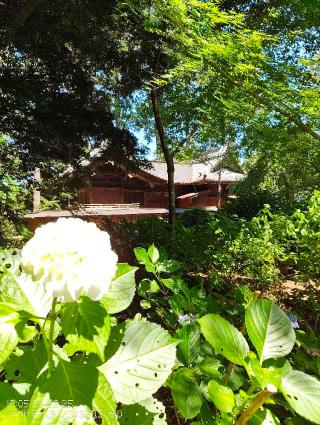 國吉神社の参拝記録(安房之国さん)