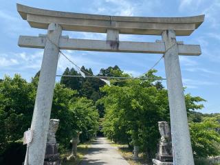 春日神社の参拝記録(スエさん)