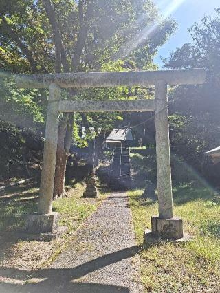 岩和田 大宮神社の参拝記録(まーさんさん)