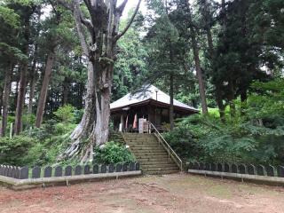 徳蔵寺の参拝記録(さくらまんじゅうさん)