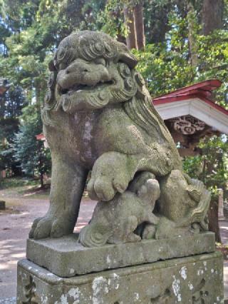 日月神社の参拝記録(はじめさん)
