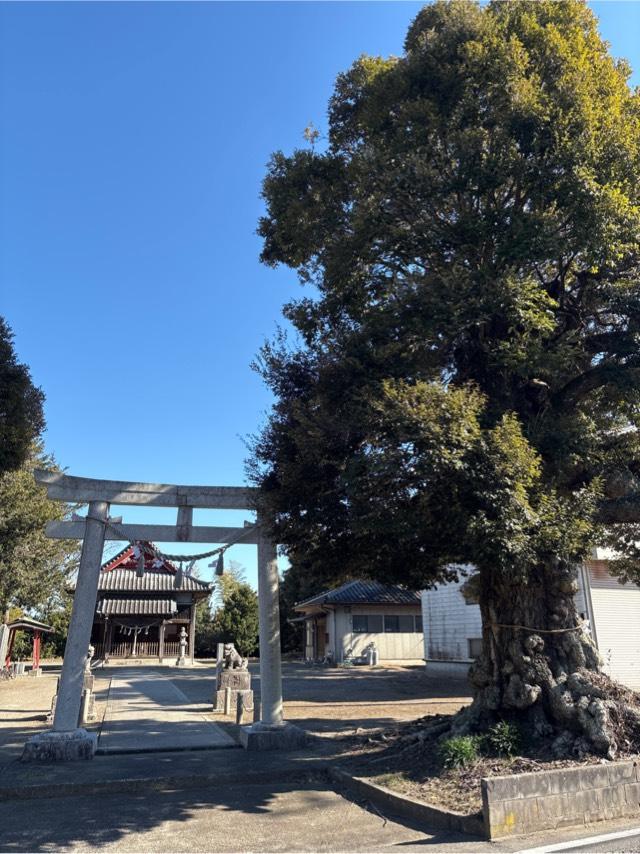 臼井神社の参拝記録1