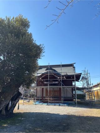 八幡神社の参拝記録(ねこチャリさん)