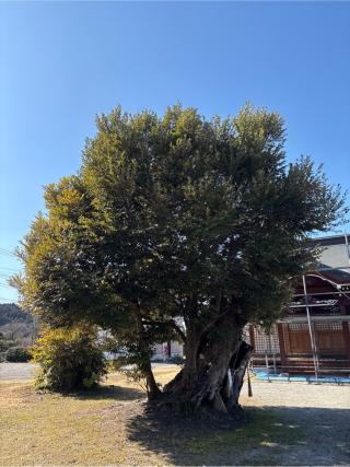 八幡神社の参拝記録(ねこチャリさん)