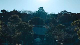 館山神社の参拝記録(miyumikoさん)