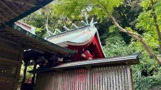 洲崎神社（安房国一宮）の参拝記録(金猿さん)