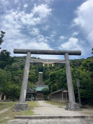 洲崎神社の参拝記録(⛩️🐍🐢まめ🐢🐍⛩️さん)