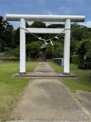 洲宮神社の参拝記録(こーちんさん)