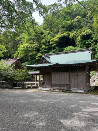 安房神社(安房國一宮)の参拝記録(⛩️🐍🐢まめ🐢🐍⛩️さん)