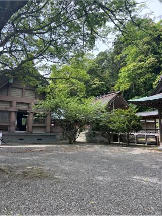 安房神社(安房國一宮)の参拝記録(⛩️🐍🐢まめ🐢🐍⛩️さん)