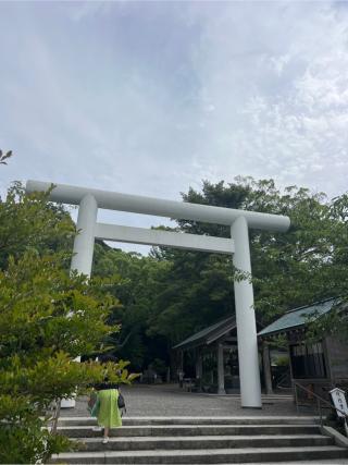 安房神社(安房國一宮)の参拝記録(⛩️🐍🐢まめ🐢🐍⛩️さん)
