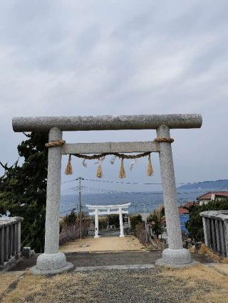 布良崎神社の参拝記録(シンビさん)