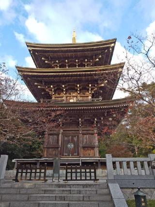 村松山 虚空蔵堂（村松山 日高寺）の参拝記録(ジョンさん)