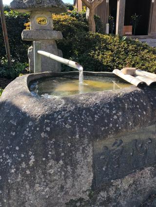 蒼龍寺の参拝記録(みつをさん)