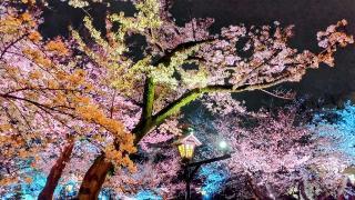 靖國神社（靖国神社）の参拝記録(オトギリルさん)