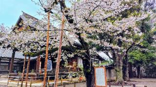 靖國神社（靖国神社）の参拝記録(オトギリルさん)