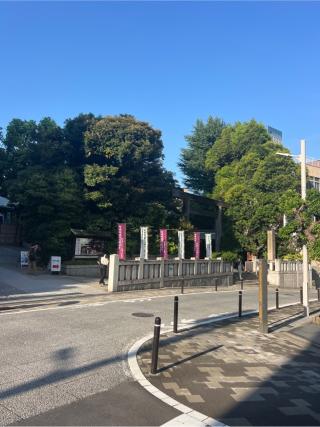 東京大神宮の参拝記録(⛩️🐍🐢まめ🐢🐍⛩️さん)