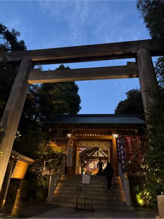 東京大神宮の参拝記録(⛩️🐍🐢まめ🐢🐍⛩️さん)