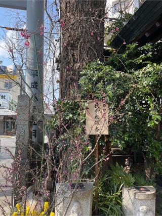 波除神社（波除稲荷神社）の参拝記録(⛩️🎠🐢まめ🐢🎠⛩️さん)