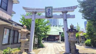 住吉神社(佃島住吉神社)の参拝記録(オトギリルさん)