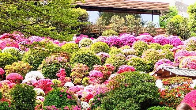 根津神社の参拝記録10